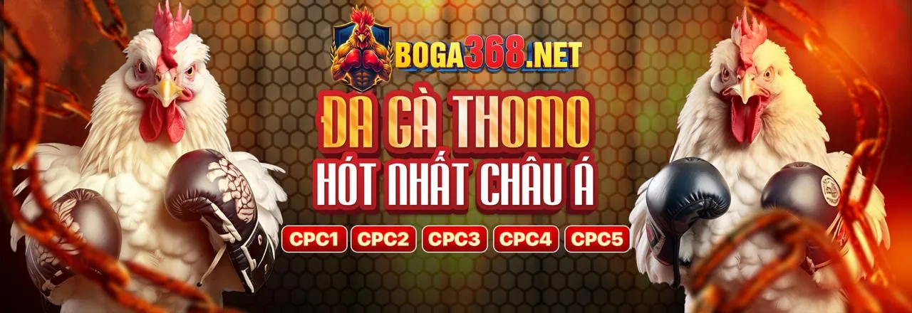 Các phương thức nạp tiền đa dạng tại 789win nhà cái, bao gồm ngân hàng và ví điện tử